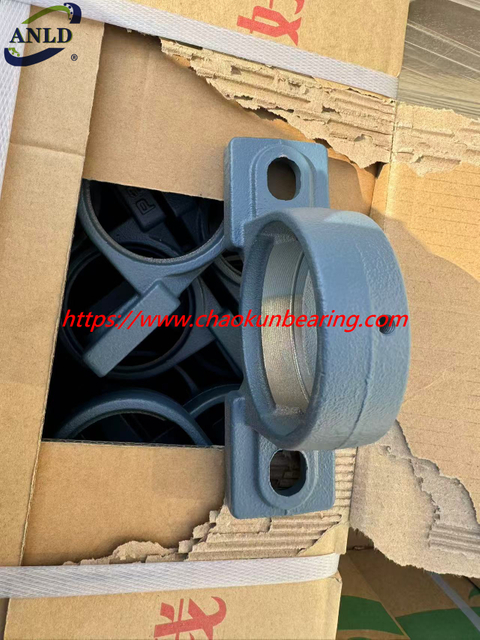 Support Customized Pillow Block Bearings